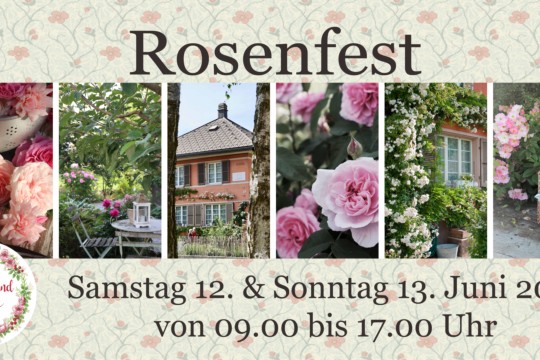 Flyer Rosenfest 2021 vorne quer Kopie.jpg